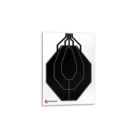 Trainshot IPSC